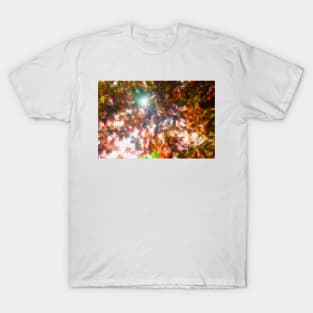 Acer palmatum 'Oshio-beni' oil painting effect T-Shirt